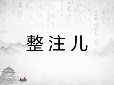 整注儿 整注儿