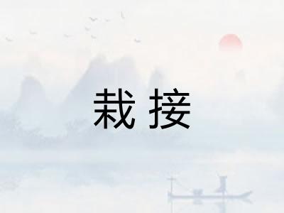 栽接