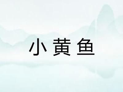 小黄鱼 小黄鱼
