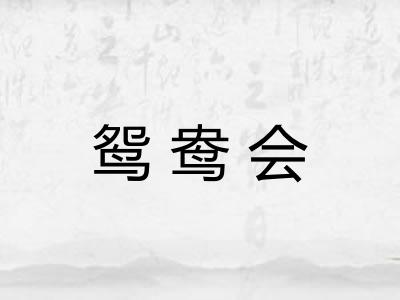 鸳鸯会 鸳鸯会