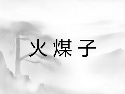 火煤子
