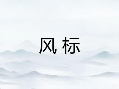 风标