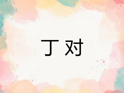 丁对