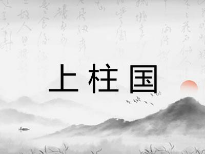 上柱国 上柱国