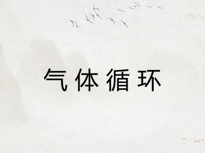 气体循环 气体循环