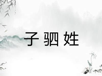 子驷姓