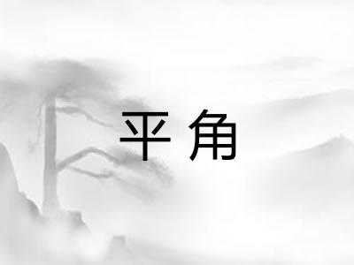 平角 平角
