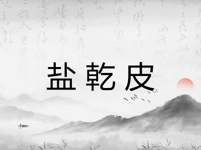 盐乾皮 盐乾皮