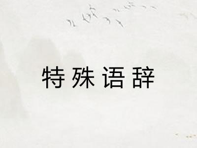 特殊语辞 特殊语辞