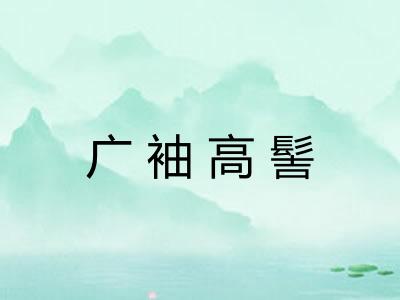 广袖高髻 广袖高髻