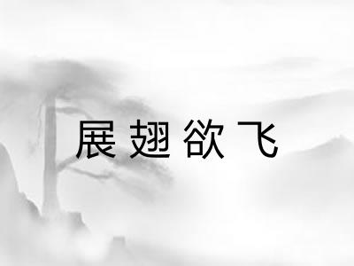 展翅欲飞 展翅欲飞