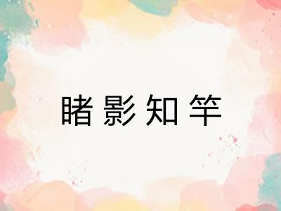 睹影知竿 睹影知竿