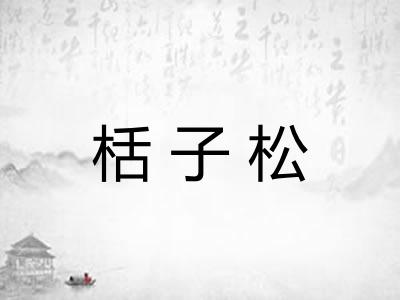 栝子松 栝子松
