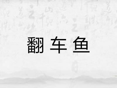 翻车鱼 翻车鱼