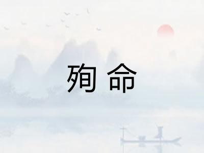 殉命 殉命