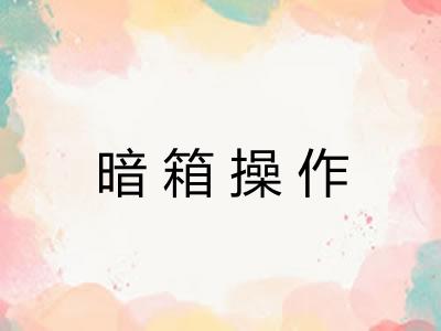 暗箱操作 暗箱操作