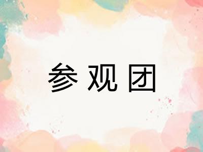 参观团