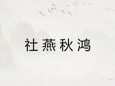 社燕秋鸿 社燕秋鸿