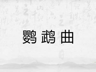 鹦鹉曲 鹦鹉曲