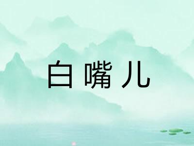 白嘴儿 白嘴儿