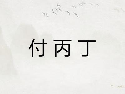 付丙丁 付丙丁