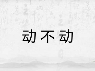 动不动 动不动