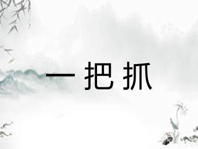 一把抓 一把抓