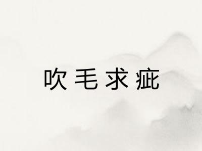 吹毛求疵 吹毛求疵