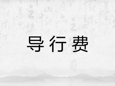 导行费 导行费
