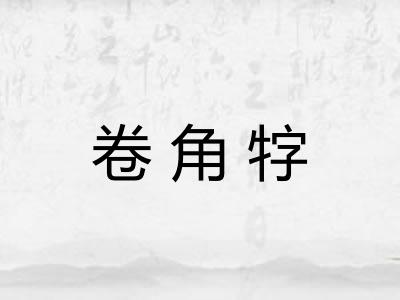卷角牸 卷角牸