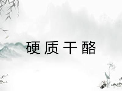 硬质干酪 硬质干酪