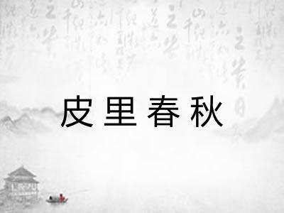 皮里春秋 皮里春秋