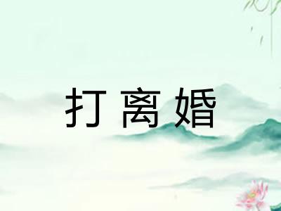 打离婚 打离婚