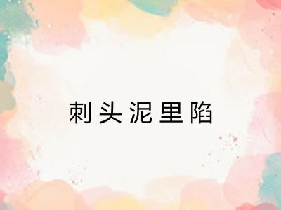 刺头泥里陷 刺头泥里陷