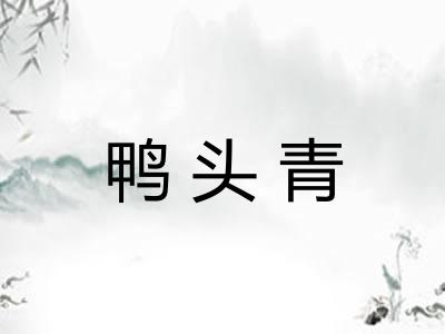 鸭头青