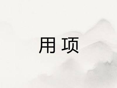 用项 用项