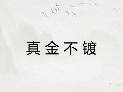 真金不镀 真金不镀
