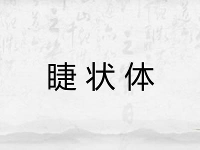 睫状体 睫状体