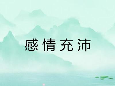 感情充沛