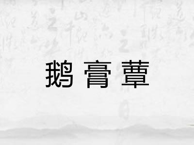 鹅膏蕈 鹅膏蕈