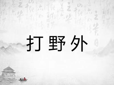 打野外 打野外