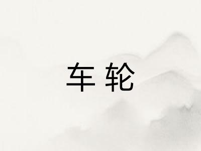 车轮 车轮