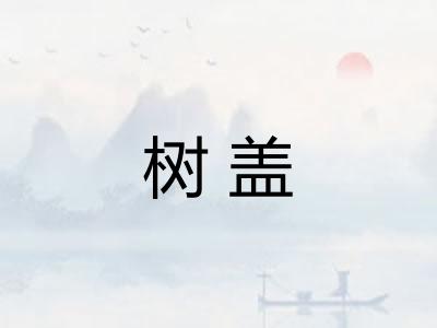 树盖