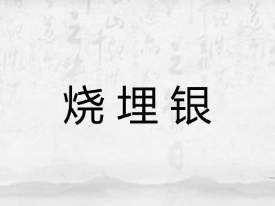 烧埋银 烧埋银