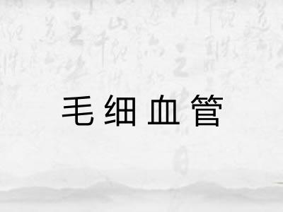 毛细血管 毛细血管