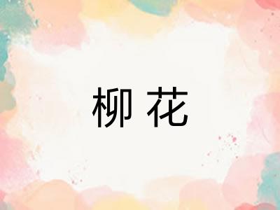 柳花 柳花