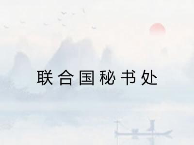 联合国秘书处 联合国秘书处