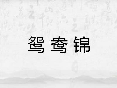 鸳鸯锦 鸳鸯锦