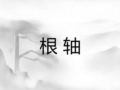 根轴 根轴