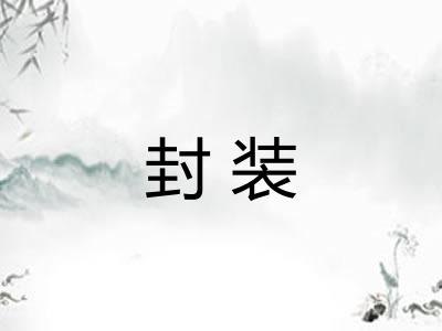 封装 封装